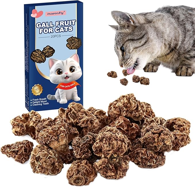 Fruits Matatabi Jouets pour Chats